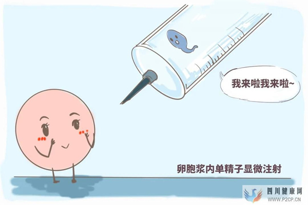 试管真的可以解决怀孕困难吗??试管五点误区快看~(图3) 试管真的可以解决怀孕困难吗??试管五点误区快看~(图3)