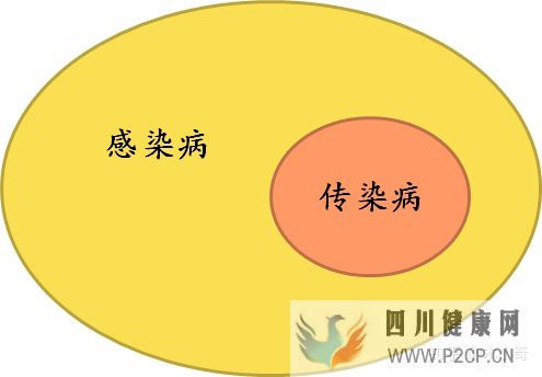传染病学之什么是“传染”