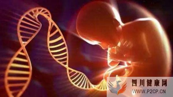 生育报销大改革!试管婴儿、冻卵能报医保吗?(2022年试管婴儿费用医保可以报销吗)(图1) 生育报销大改革!试管婴儿、冻卵能报医保吗?(2022年试管婴儿费用医保可以报销吗)(图1)