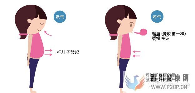 有效的呼吸方法(图1) 有效的呼吸方法(图1)