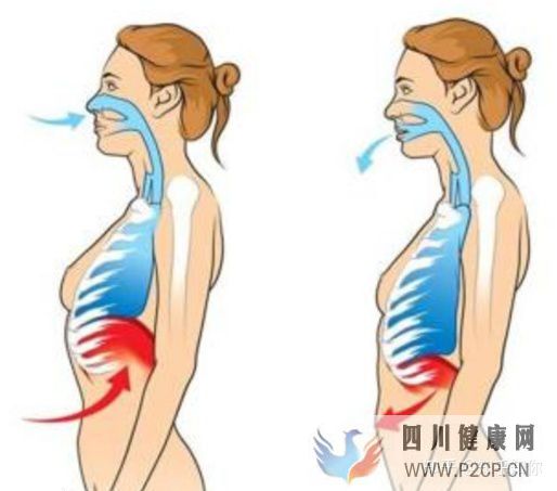 道家呼吸吐纳法,呼吸吐纳功法初学入门(图4) 道家呼吸吐纳法,呼吸吐纳功法初学入门(图4)