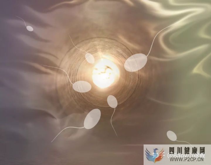 做到这2点,试管婴儿成功率或将提高25%至35%!(第二代试管婴儿成功率有多少)(图5) 做到这2点,试管婴儿成功率或将提高25%至35%!(第二代试管婴儿成功率有多少)(图5)