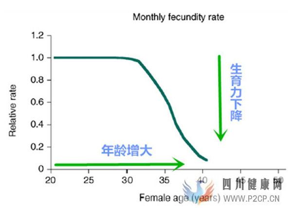 高龄女性对试管婴儿成功率有哪些影响如何提高女性卵子质量(38岁做试管婴儿成功率有多少)(图1) 高龄女性对试管婴儿成功率有哪些影响如何提高女性卵子质量(38岁做试管婴儿成功率有多少)(图1)
