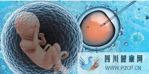 泰国试管婴儿费用第二代和第三代的相差多少(第二代试管婴儿怎么做的全过程)(图2)
