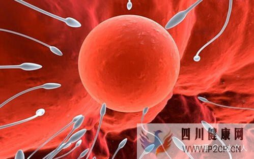 试管婴儿可以选择性别吗费用大概是多少钱(第一代试管婴儿可以选择性别吗)(图2) 试管婴儿可以选择性别吗费用大概是多少钱(第一代试管婴儿可以选择性别吗)(图2)