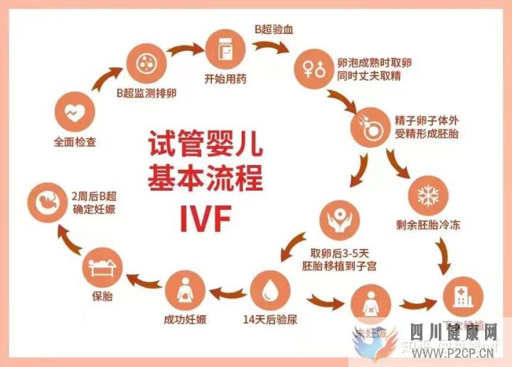 试管婴儿详细全流程(两个女生试管婴儿怎么做的全过程)(图1) 试管婴儿详细全流程(两个女生试管婴儿怎么做的全过程)(图1)