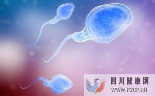 试管婴儿男性取精的全部过程,或许跟你想的不一样!(男性试管婴儿怎么做的全过程)(图6) 试管婴儿男性取精的全部过程,或许跟你想的不一样!(男性试管婴儿怎么做的全过程)(图6)