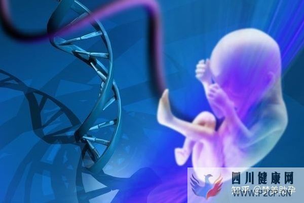 美国第三代试管婴儿费用是多少,成功率多高(美国做试管婴儿的全部费用大概是多少)(图6) 美国第三代试管婴儿费用是多少,成功率多高(美国做试管婴儿的全部费用大概是多少)(图6)