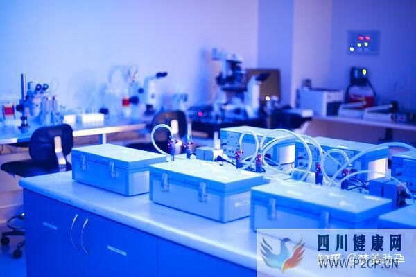 美国第三代试管婴儿费用是多少,成功率多高(美国做试管婴儿的全部费用大概是多少)(图16) 美国第三代试管婴儿费用是多少,成功率多高(美国做试管婴儿的全部费用大概是多少)(图16)