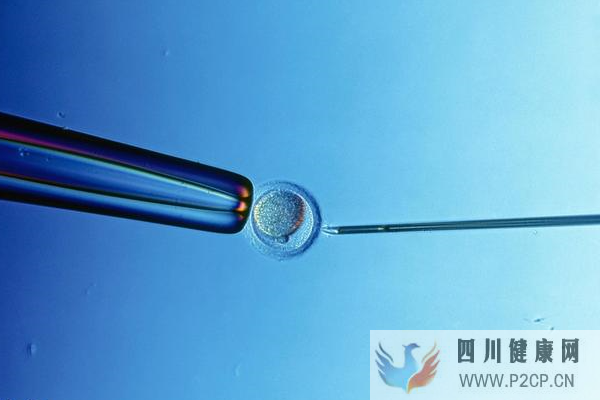 去美国做试管婴儿生双胞胎的概率(美国做试管婴儿的全部费用大概是多少)(图1) 去美国做试管婴儿生双胞胎的概率(美国做试管婴儿的全部费用大概是多少)(图1)