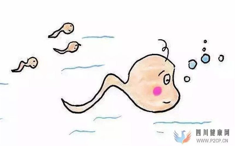 滔滔顾问:男性的年龄是否会影响试管婴儿的成功率(男性试管婴儿怎么做的全过程)(图1) 滔滔顾问:男性的年龄是否会影响试管婴儿的成功率(男性试管婴儿怎么做的全过程)(图1)