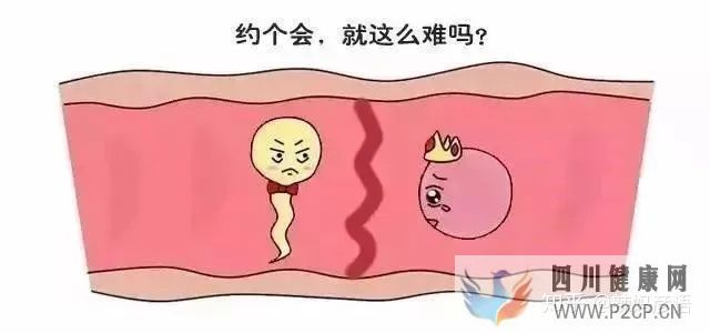 输卵管堵塞到底是先做手术,还是直接试管婴儿(女方输卵管堵塞做试管婴儿需要多长时间)(图3) 输卵管堵塞到底是先做手术,还是直接试管婴儿(女方输卵管堵塞做试管婴儿需要多长时间)(图3)
