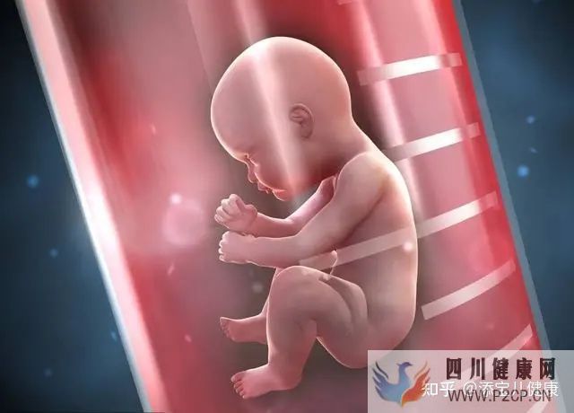 输卵管不孕做试管婴儿手术过程中,常见的六个问题(女方输卵管堵塞做试管婴儿需要多长时间)(图5)