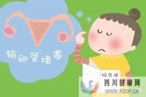 输卵管不孕做试管婴儿手术过程中,常见的六个问题(女方输卵管堵塞做试管婴儿需要多长时间)(图4)
