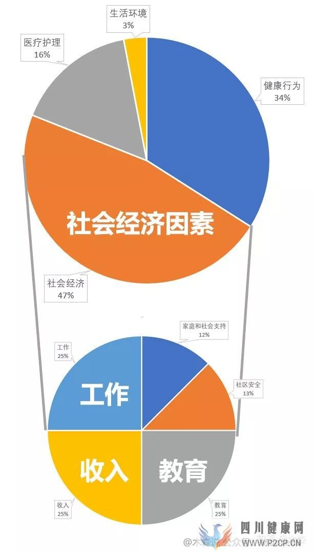 决定健康的3个最重要因素(图2) 决定健康的3个最重要因素(图2)