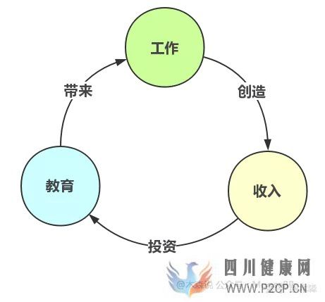 决定健康的3个最重要因素(图10) 决定健康的3个最重要因素(图10)