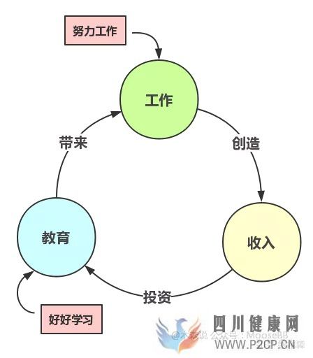 决定健康的3个最重要因素(图11) 决定健康的3个最重要因素(图11)
