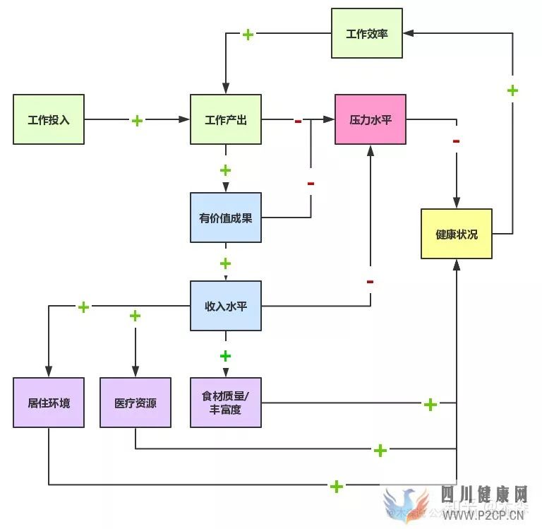 决定健康的3个最重要因素(图14) 决定健康的3个最重要因素(图14)