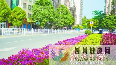 城乡卫生大升级幸福跟着健康走(图1) 城乡卫生大升级幸福跟着健康走(图1)