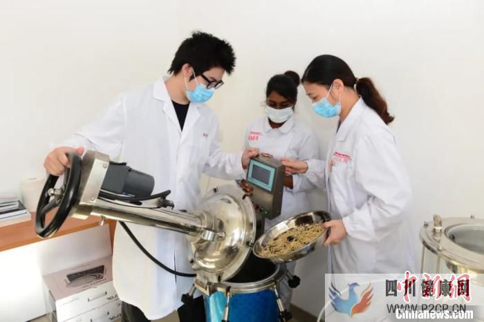 “针灸推拿+中医内科”中国传统医学毛里求斯受热捧