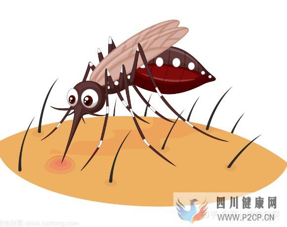 辟谣20个流传最广的谣言(图4) 辟谣20个流传最广的谣言(图4)