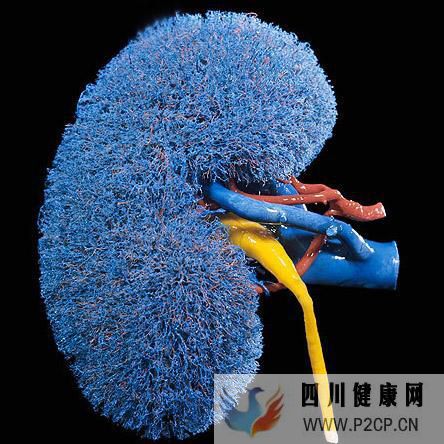注意!这个指标是糖尿病肾病的预报!(图1) 注意!这个指标是糖尿病肾病的预报!(图1)