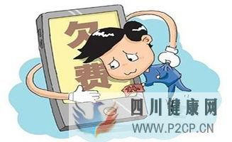 个人征信报告中个人电信缴费信息里“欠费”指的什么？(图2)