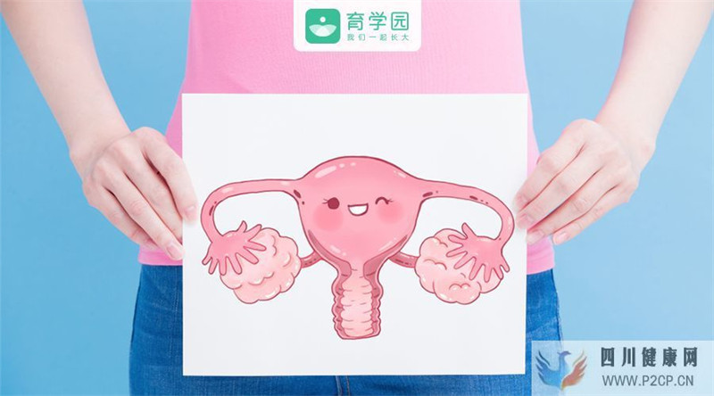 输卵管不通该怎么办(图2) 输卵管不通该怎么办(图2)