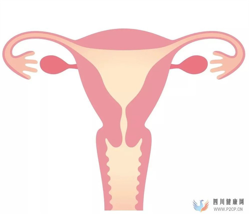 输卵管不通该怎么办(图8) 输卵管不通该怎么办(图8)