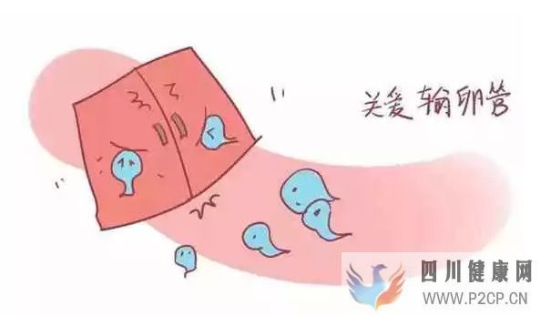 不孕不育输卵管不孕,女性不孕的最大危害之一!(图3) 不孕不育输卵管不孕,女性不孕的最大危害之一!(图3)