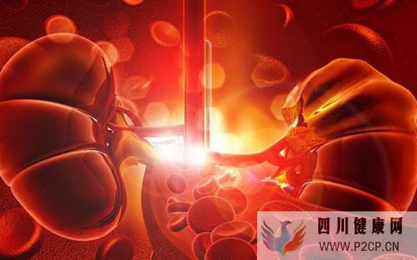 老人糖尿病没控制好发生糖尿病肾病,降血糖如何选用护肾药物?(图1) 老人糖尿病没控制好发生糖尿病肾病,降血糖如何选用护肾药物?(图1)