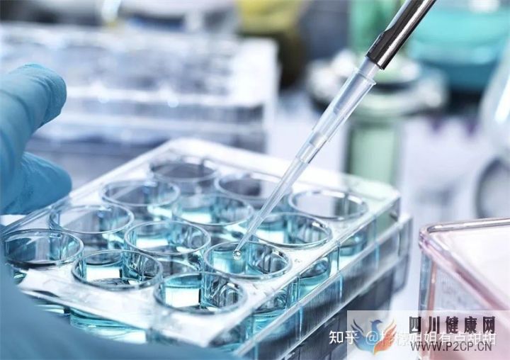 20万一针的干细胞值得吗、深扒打干细胞的好处和坏处~(图2) 20万一针的干细胞值得吗、深扒打干细胞的好处和坏处~(图2)