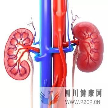 检查系列②:什么检查能用来发现糖尿病肾病?(图1) 检查系列②:什么检查能用来发现糖尿病肾病?(图1)