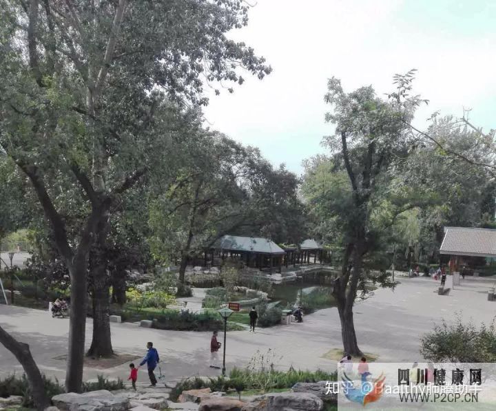 病友故事抗癌不易,愿所有人都能做自己的英雄(图10) 病友故事抗癌不易,愿所有人都能做自己的英雄(图10)