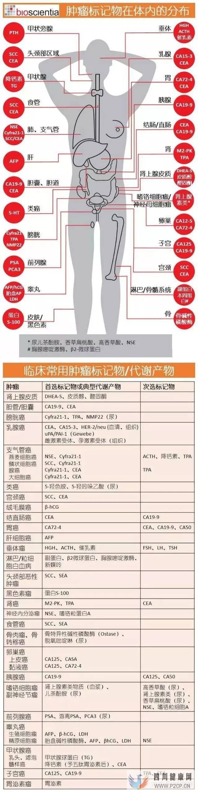 不是所有人都可以打干细胞!肿瘤标志物超标就绝对不...