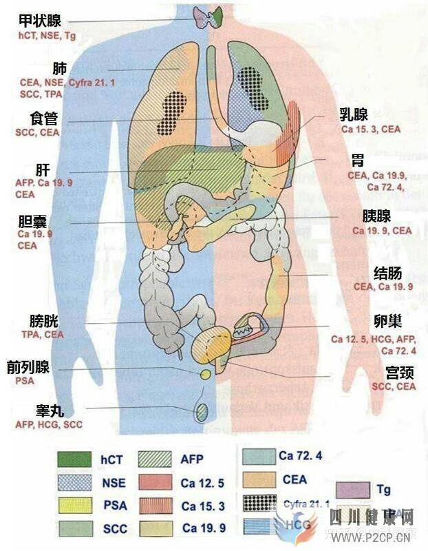 不是所有人都可以打干细胞!肿瘤标志物超标就绝对不...(图4) 不是所有人都可以打干细胞!肿瘤标志物超标就绝对不...(图4)