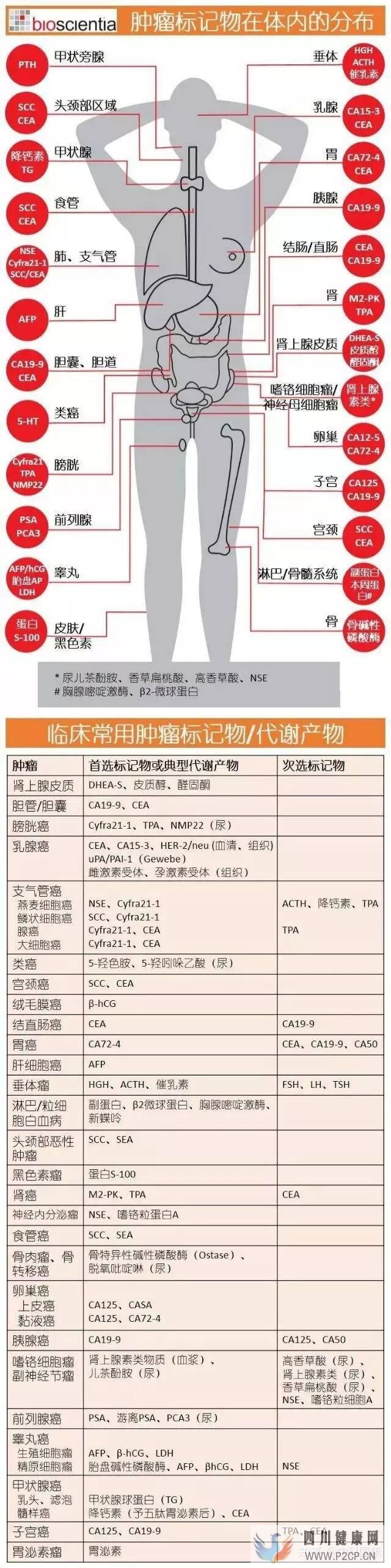 不是所有人都可以打干细胞!肿瘤标志物超标就绝对不...(图2) 不是所有人都可以打干细胞!肿瘤标志物超标就绝对不...(图2)