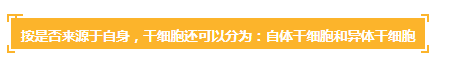 各种干细胞到底有何作用(图12) 各种干细胞到底有何作用(图12)