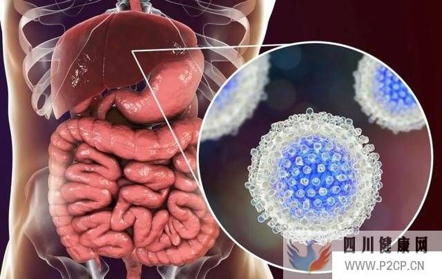 中科西部细胞：干细胞可以治疗肝硬化吗？
